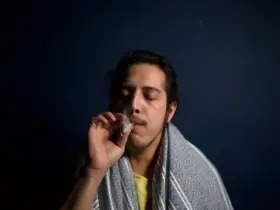 O Que é a Brisa do Blue Dream? Entenda Seus Efeitos e Benefícios